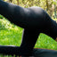 Upgrade High Waist Fitness Corset Leggings